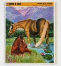 Vintage Horse & Colt Frame-tray Puzzle The Rainbow Works 1992